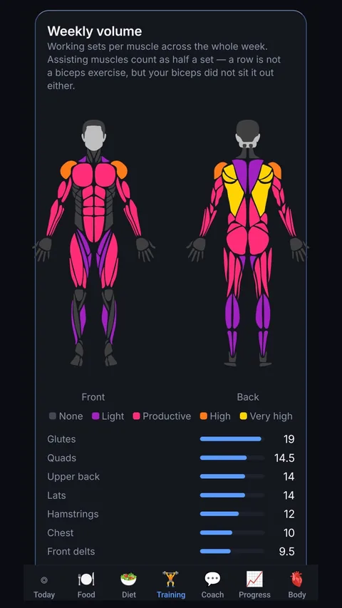 Training: weekly working sets per muscle, from none through to very high.